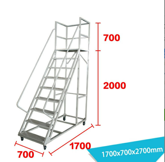 9-Step Steel Rolling Ladder with Handrails.png